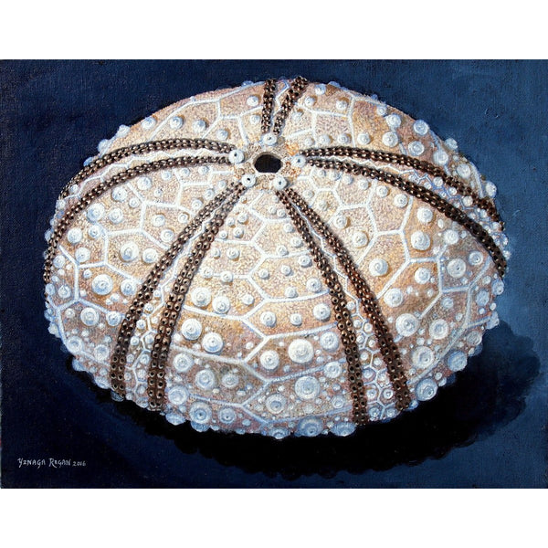 'Sea Urchin #66 - Tan Splendor' Limited Edition Print