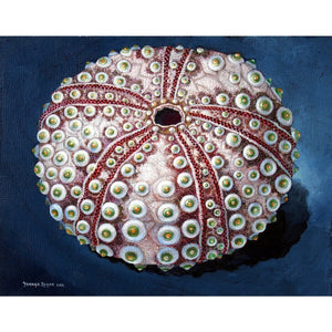 'Sea Urchin #65 - Green Pearl' Limited Edition