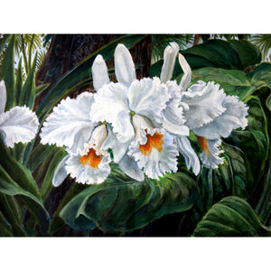 'White Orchid' Limited Edition
