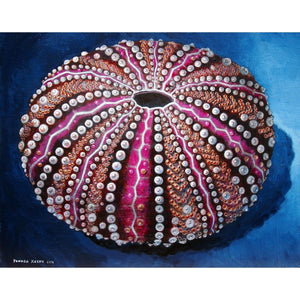 'Sea Urchin #61 - Burgundy' Limited Edition