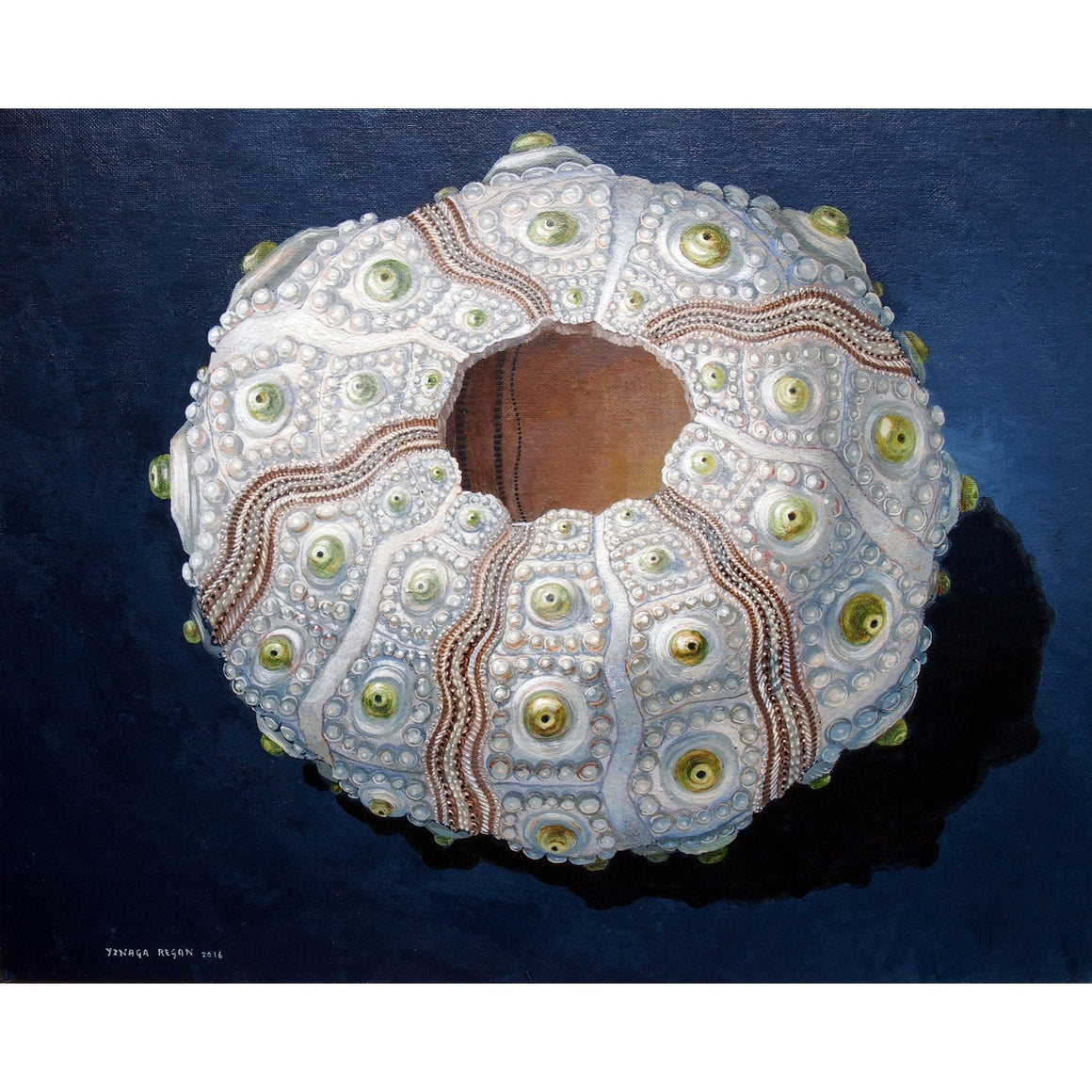 'Sea Urchin #64 - White Jewel' Limited Edition