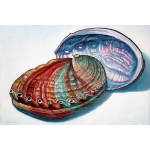 'Abalone Pair' Limited Edition