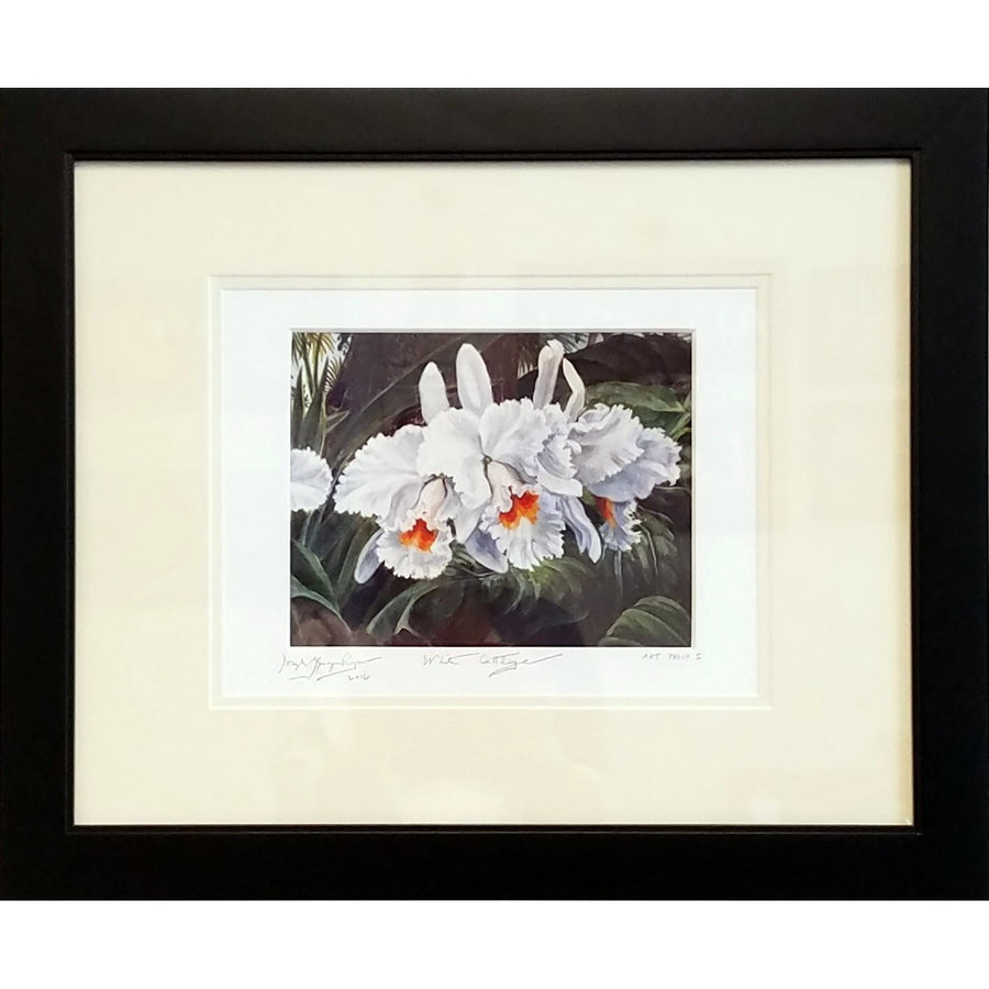 'White Orchid' Limited Edition
